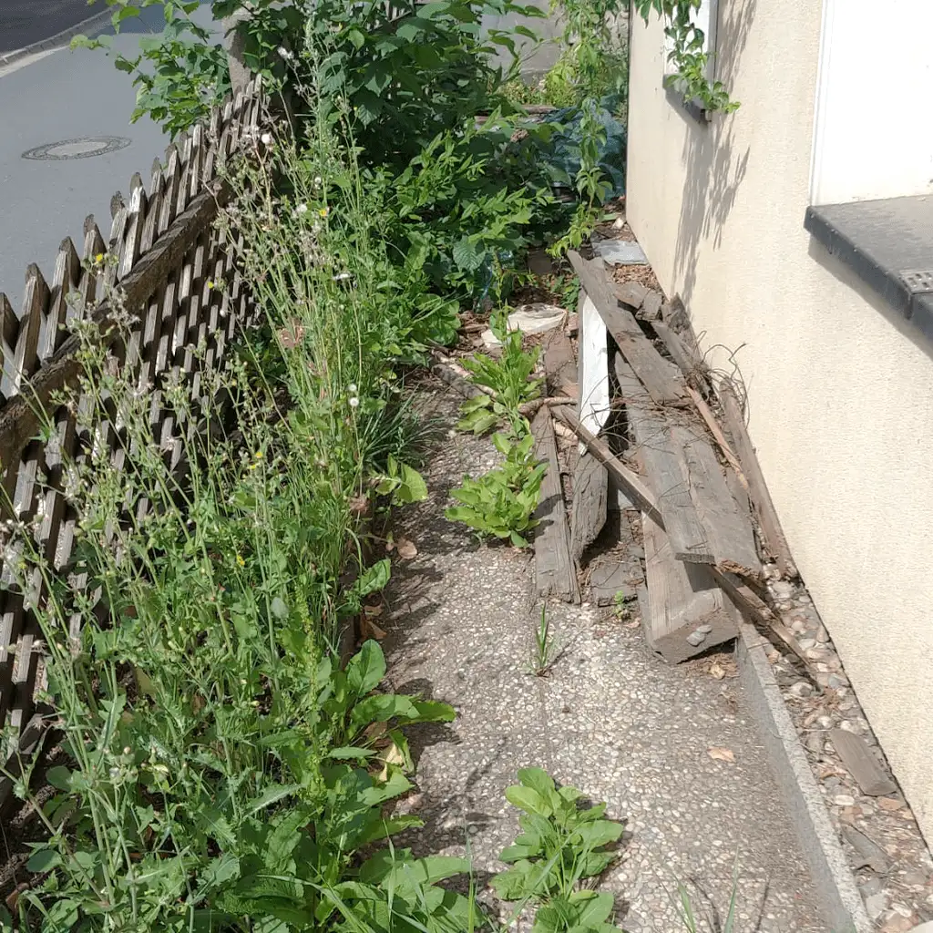 Zuverlässige Vorgartenpflege und Gartenarbeit durch Handwerker-Marktredwitz