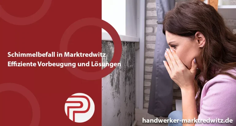 Schimmelbefall in Marktredwitz: Effiziente Vorbeugung und Lösungen